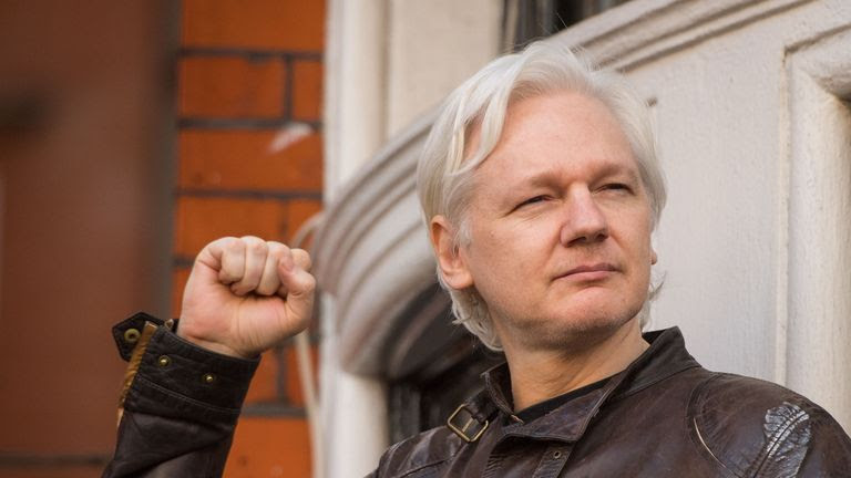Image result for Julian Assange/Images