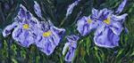 Irises blooming  - Posted on Thursday, March 19, 2015 by Linda mooney