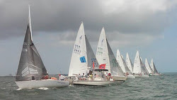 J/24s sailing Florida States