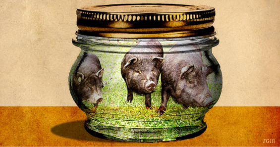 Politicians in a jar