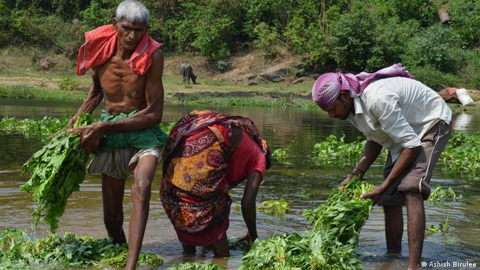 People wash vegetables in the water (photo: Ashish Birulee)