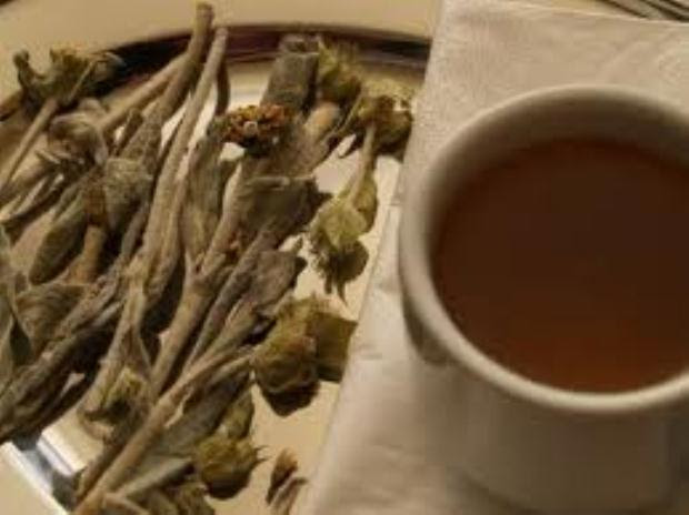 Greek Mountain Tea — Elixer of the Gods: Proven Effective Against Colds, Flus, Ulcers, Osteoporosis Cancer
