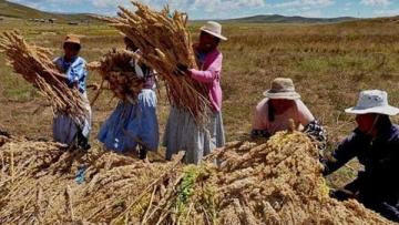Midagri inició empadronamiento de los agricultores y sus organizaciones agrarias