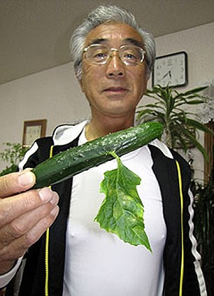 Fukushima-mutant-cucumber-6266-140785871