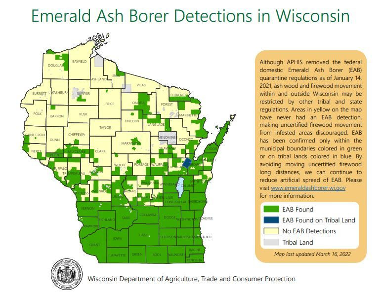 map showing locations of emerald ash borer detections in Wisconsin