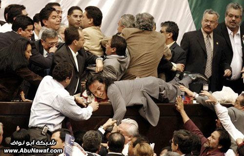 صور مضاربات البرلمانات بالعالم مع صور طريفه Image002