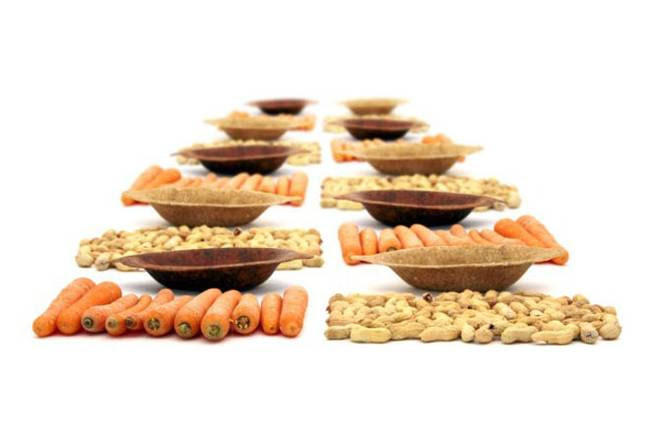 Биоразлагаемые одноразовые тарелки изготовлены из пищевых отходов