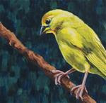 Saffron Finch - Posted on Saturday, January 3, 2015 by Laura Wolf