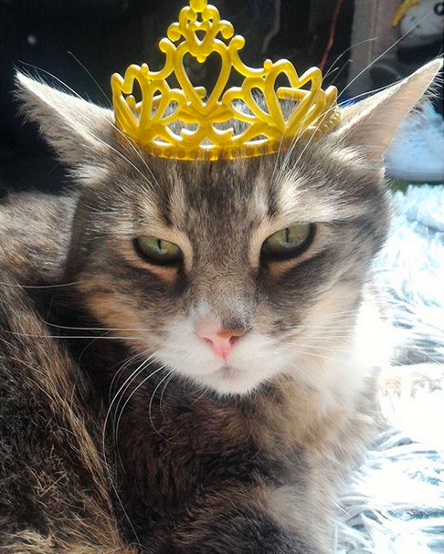 Yes, I am the queen Enhanced-17491-1460140179-21.112847