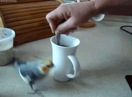 Memes For Those Who Need Coffee RIGHT NOW!