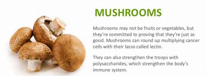 anti cancer food