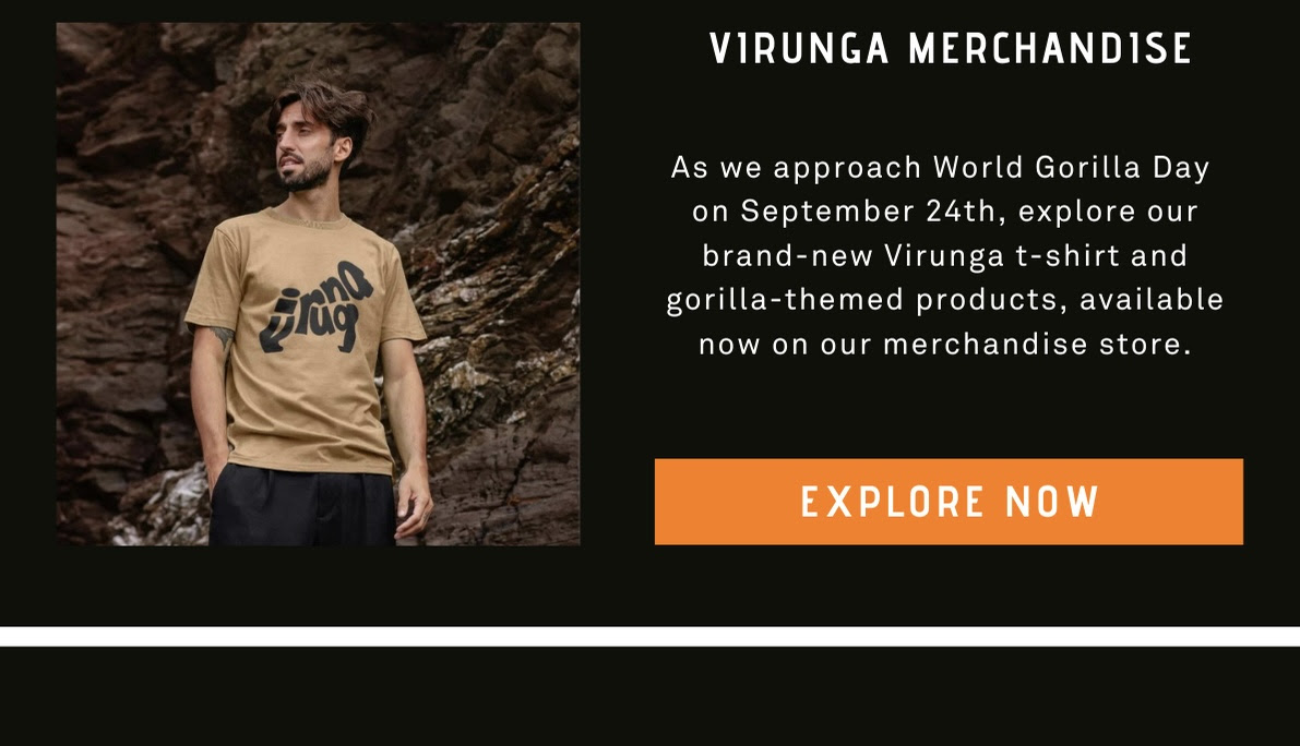 As we approach World Gorilla Day  on September 24th, explore our brand-new Virunga t-shirt and gorilla-themed products, available now on our merchandise store.