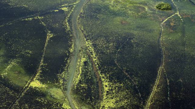 Parlamentares manobram para diminuir área de reserva ambiental em Roraima e Amapá