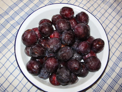My last fruits of plum 'Belle de Louvain' from the freezer  being thawed in 2012! (1)