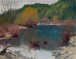 Winter Willows On The Eel River - Posted on Thursday, January 29, 2015 by Kathy O'Leary