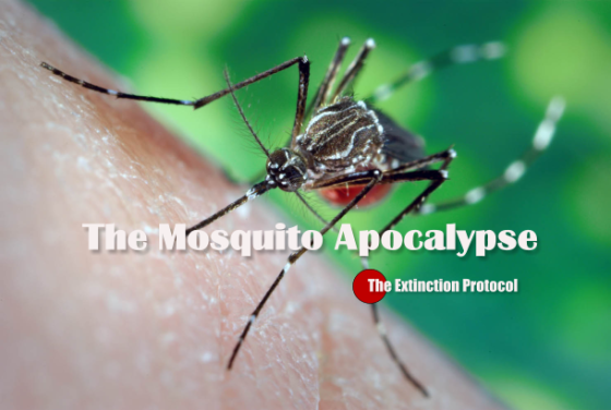 The Mosquito Disease Explosion: Experts warn the Yellow Fever outbreak in Africa is a ticking time b Mosquito-apocalypse