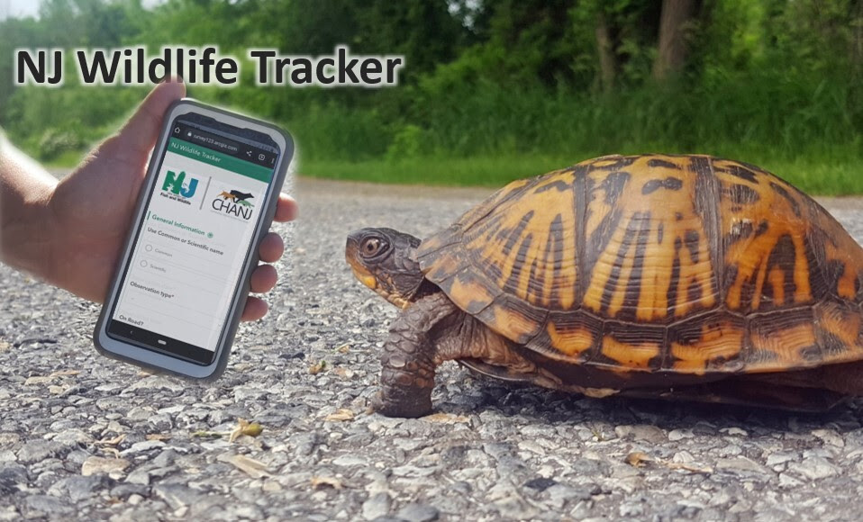 NJ Wildlife Tracker image