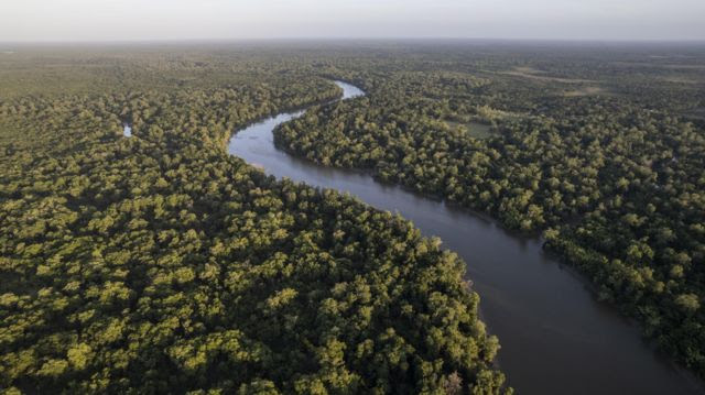 imagem do rio Amazonas visto de cima