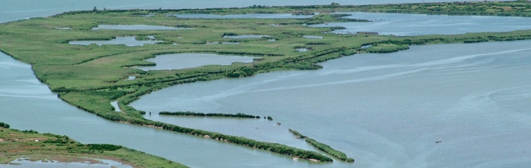 parco-regionale-delta-del-po-da-sito-omonimo