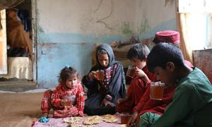 Катастрофический голод может стать широко распространенным явлением во всем Афганистане. 