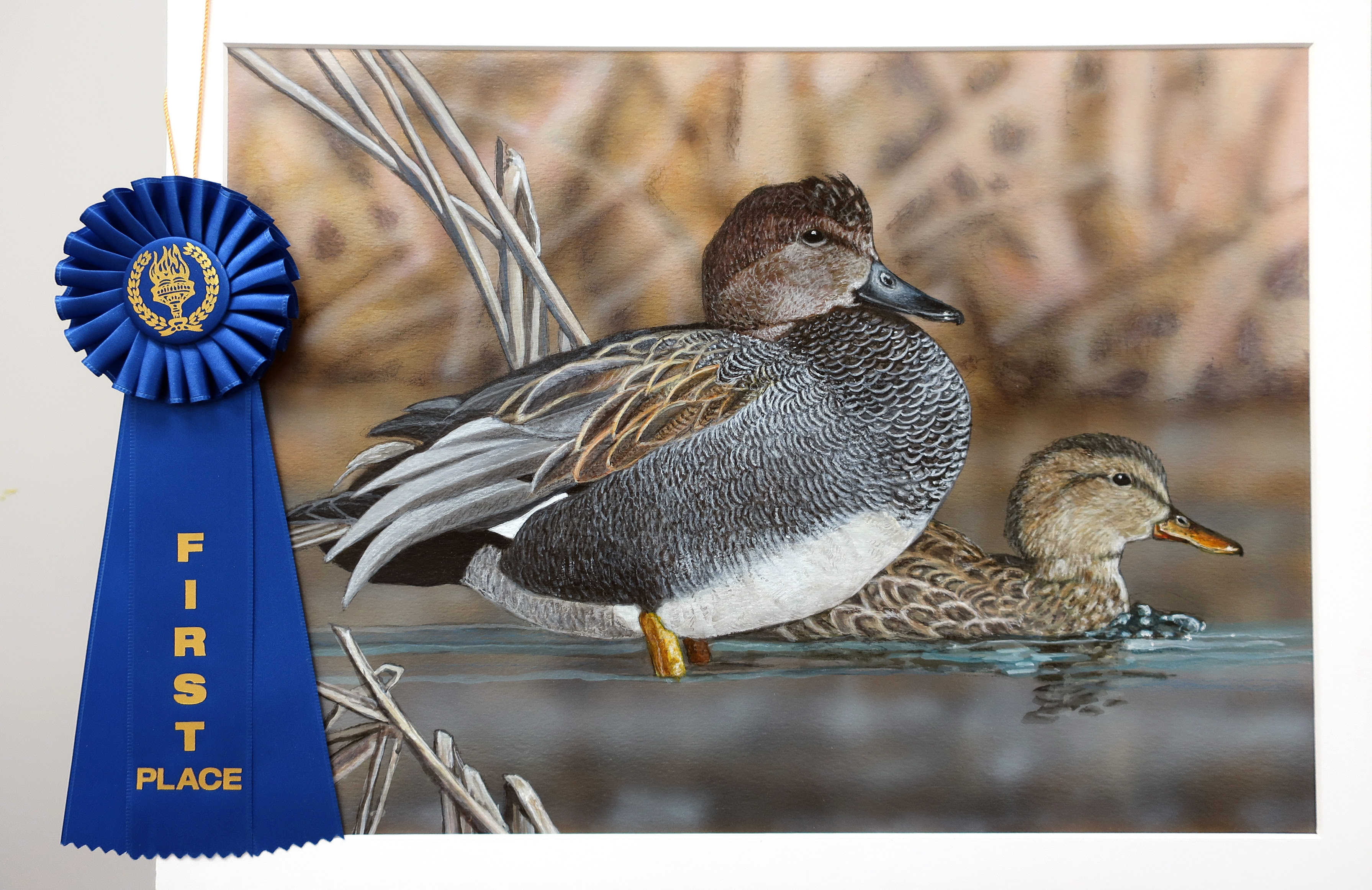 1st place duck stamp of two gadwalls in water with reeds