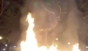 No, They’re Not Stupid: Why
Leftists Destroyed A Statue of an Elk in Portland