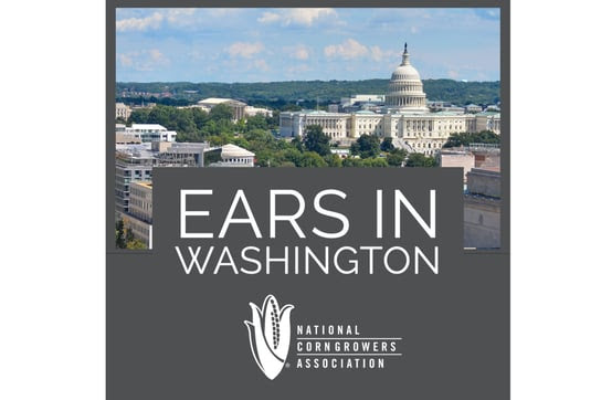 Ears In Washington DC 3x2