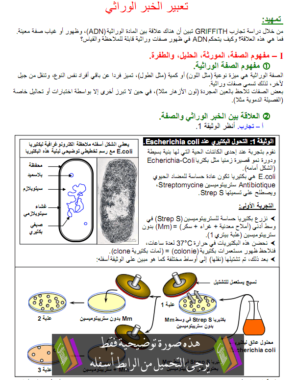 درس علوم الحياة والأرض: آلية تعبير الخبر الوراثي – الأولى باكالوريا علوم رياضية Aliat-ta3bir-alkhabar