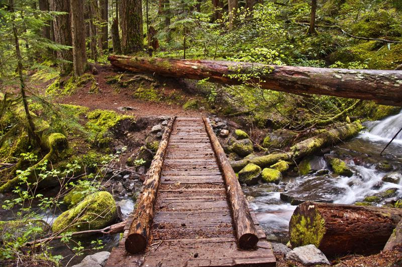 Olympic National Park has tons of great hiking trails.