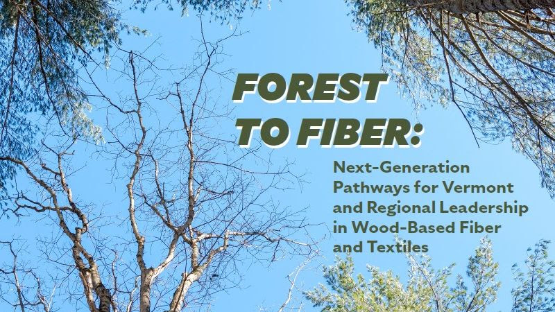 Forest to Fiber
