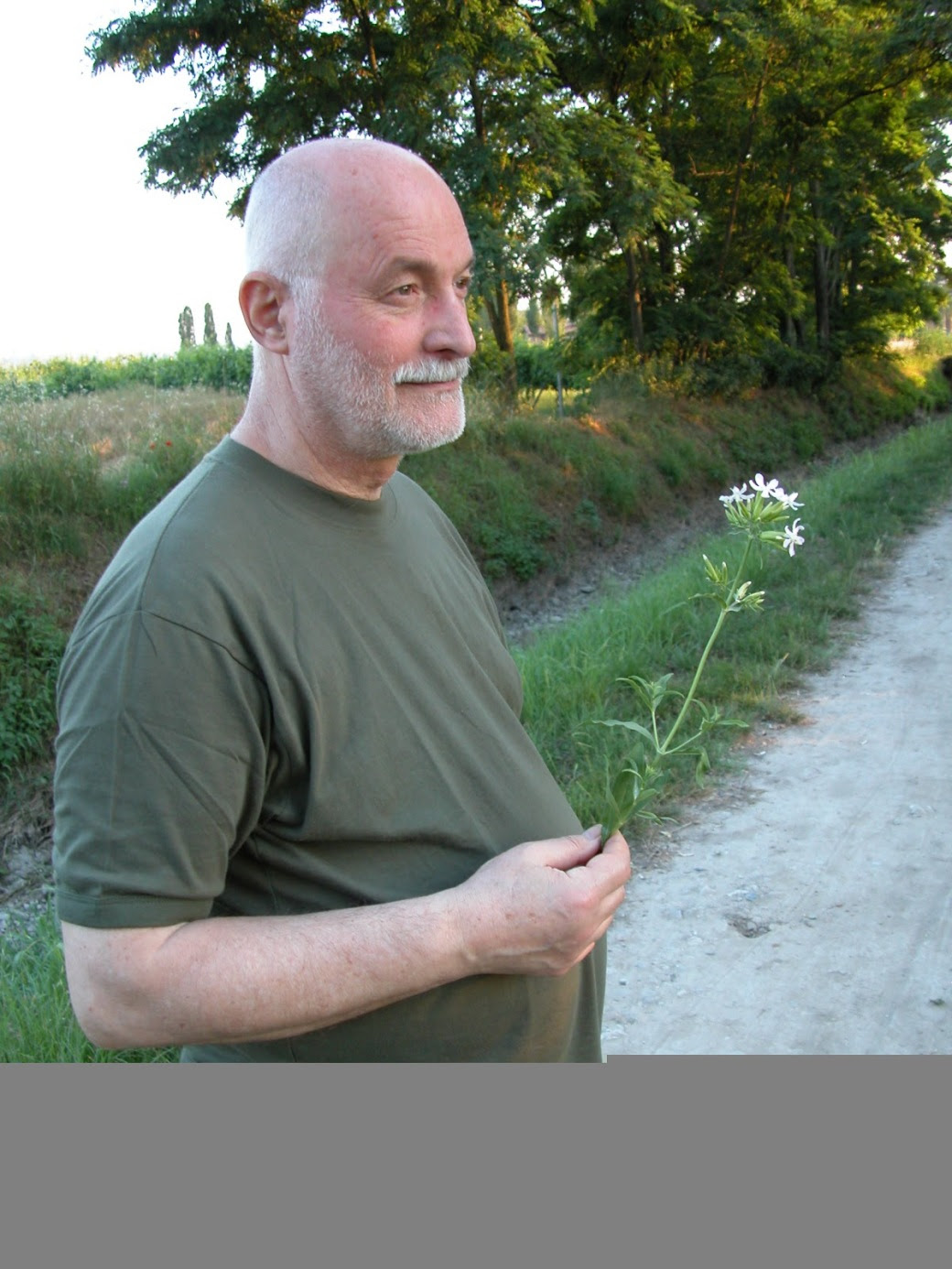 Risultati immagini per paolo d'arpini