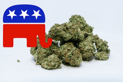Poll: Republican Voters Overwhelmingly Support Legal Cannabis Use