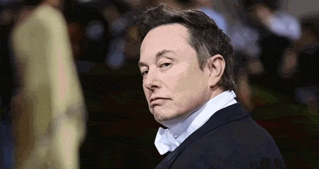 Elon Musk trolled by activist projecting sign on Twitter building