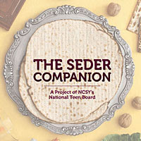 Seder Companion