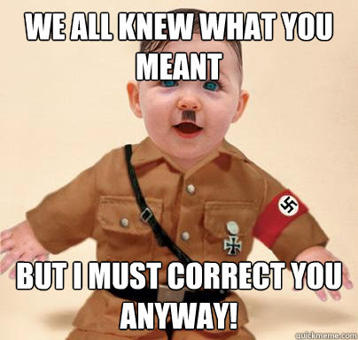 Image result for grammar nazi