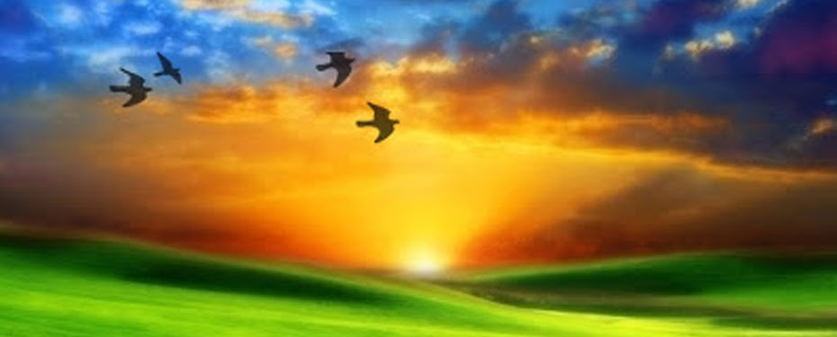 http://mjd.dominicos.org/wp-content/uploads/2014/06/articulo_carmen_14.jpg