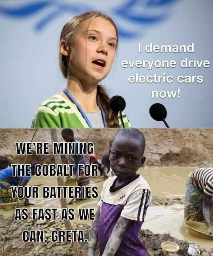 Greta versus Africa