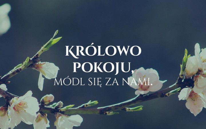 Królowo pokoju! | Stacja7.pl