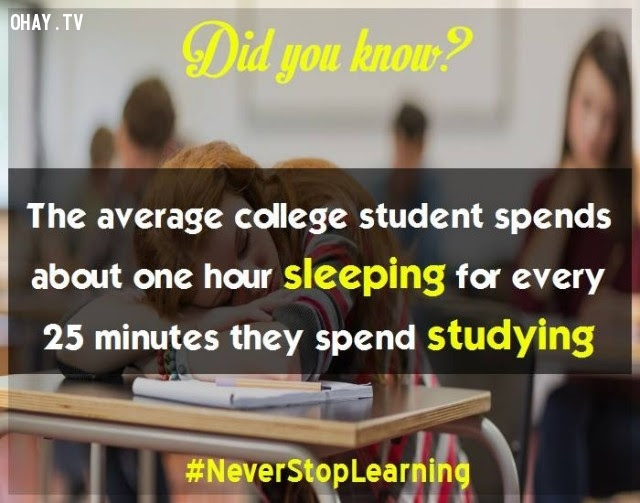 13. Trung bình sinh viên đại học ngủ khoảng 1 giờ cho mỗi 25 phút học tập.,sự thật thú vị,những điều thú vị trong cuộc sống,khám phá,sự thật đáng kinh ngạc,có thể bạn chưa biết