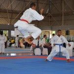 campeonato bras karate 1