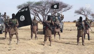Nigeria: Islamic State West Africa Province slaughters 25 people