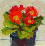 Primrose Red,still life,oil on canvas,6x6,price$200 - Posted on Sunday, March 8, 2015 by Joy Olney