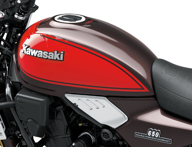 Kawasaki Z900RS 50周年アニバーサリーモデル 純正テールカウル - www.eccogta.gov.za