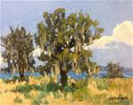 Orange Lake Trees - Posted on Wednesday, December 17, 2014 by Linda Blondheim