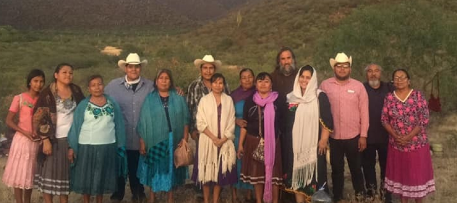 Del activismo ambiental en México, Tren Maya y AMLO *