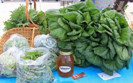 Some of the offerings from Family Circle Centennial Farm.