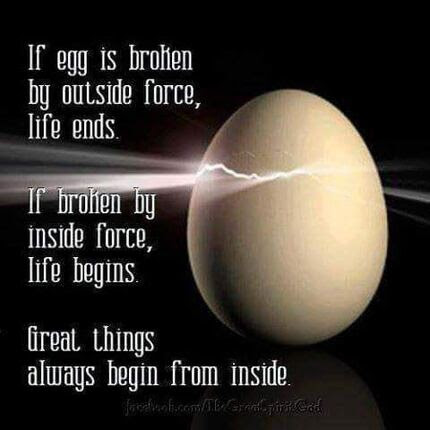 Life-inside-out