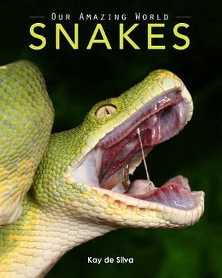 Snakes: Amazing Pictures & Fun Facts on Animals in Nature EPUB