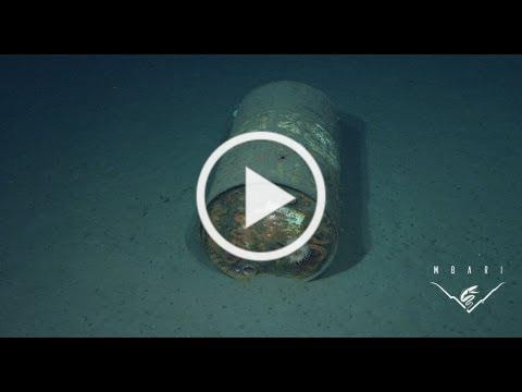 Trash in the deep sea: Bringing a hidden problem to light