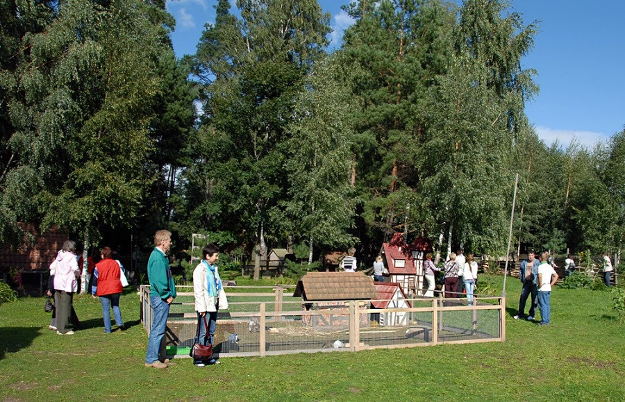 Город кроликов в Латвии. Фото